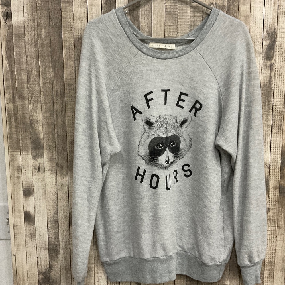 A FINE LINE……VINTAGE SWEATSHIRT…..AS SEEN ON HILLARY DUFF